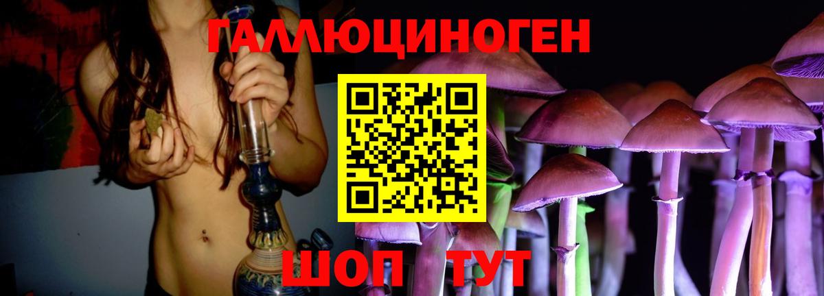 Галлюциногенные грибы Psilocybe Нефтекамск